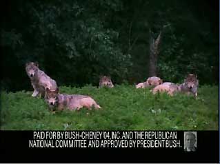 001Bush_wolves.jpg