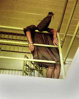 abu_prison_hangingbar.jpg