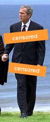 bush-topless-censored.jpg